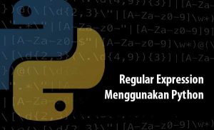 Regular Expression Python